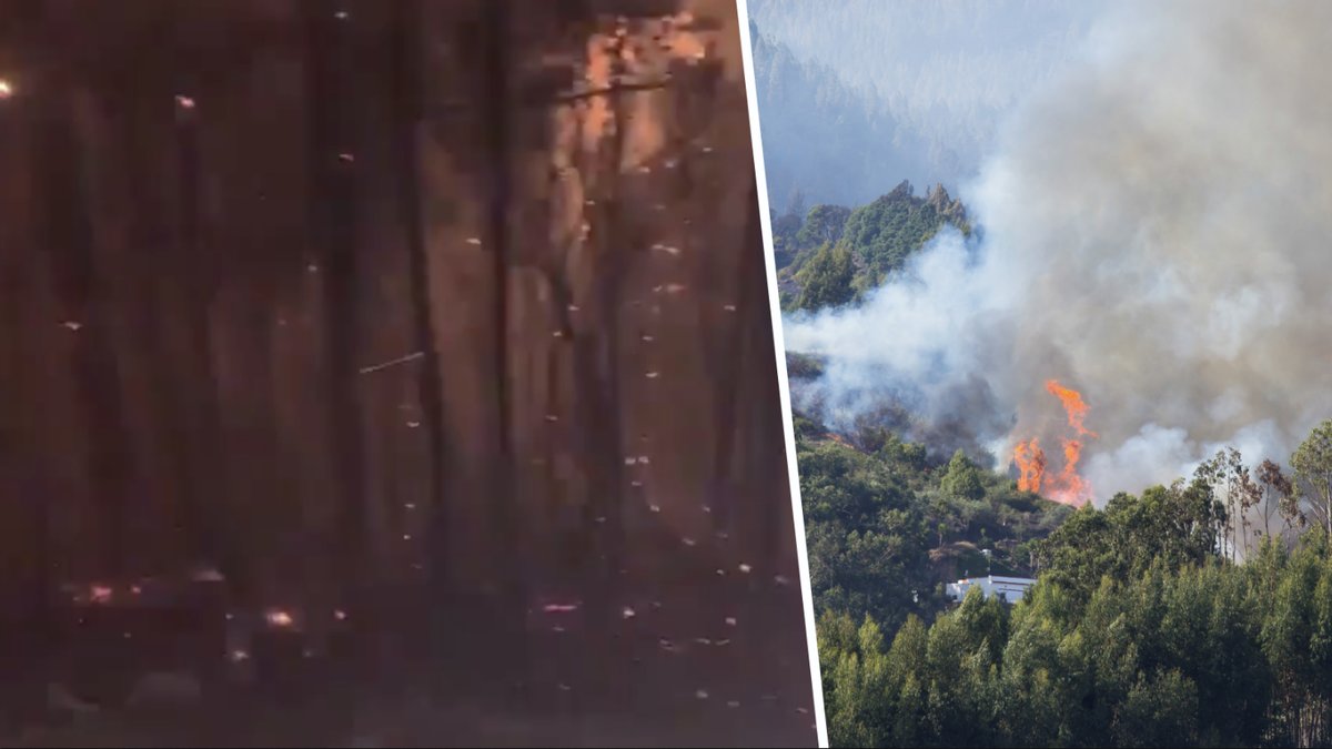 Massiv skogsbrand härjar på Gran Canaria